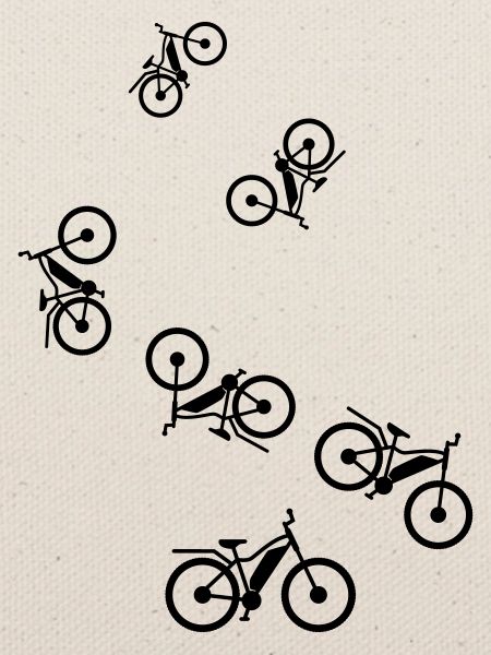 ebike fahrrad