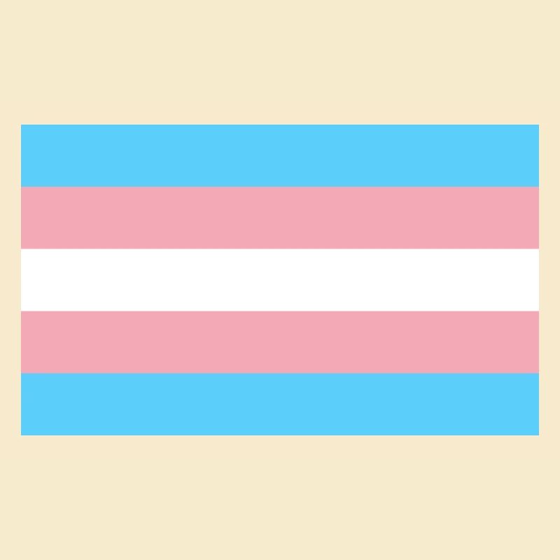 Drapeau trans