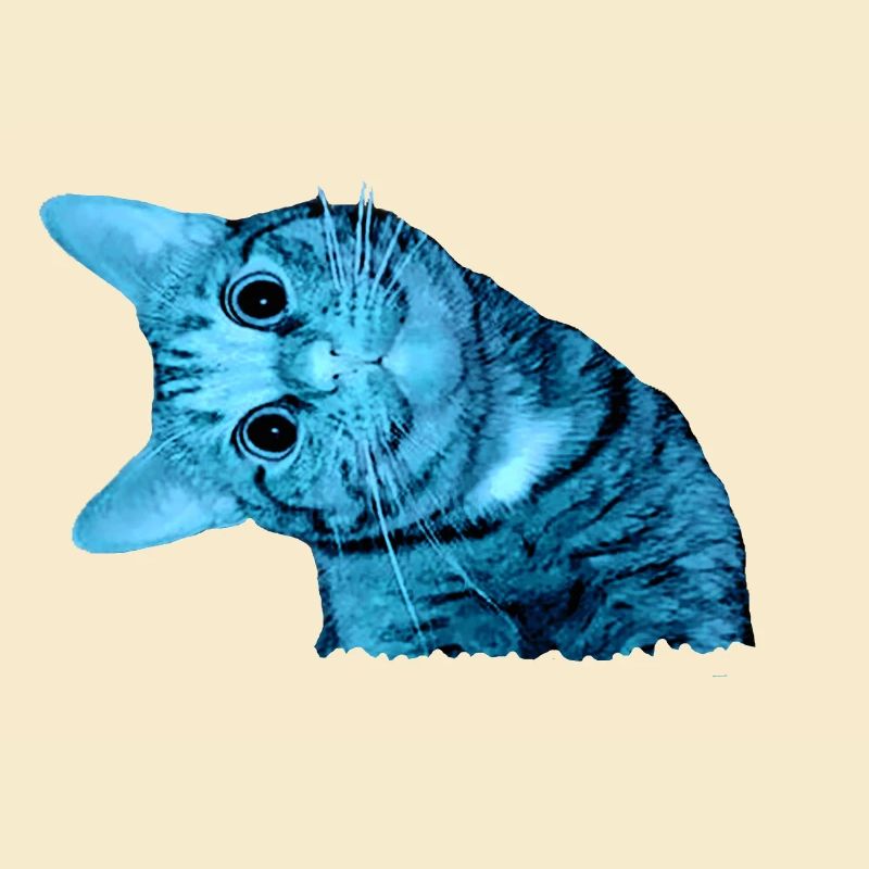 lächelnde Katze