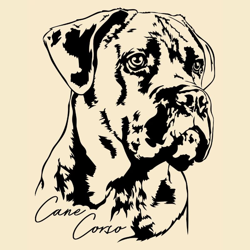 Cane Corso Chien Portrait Chien Wilsigns