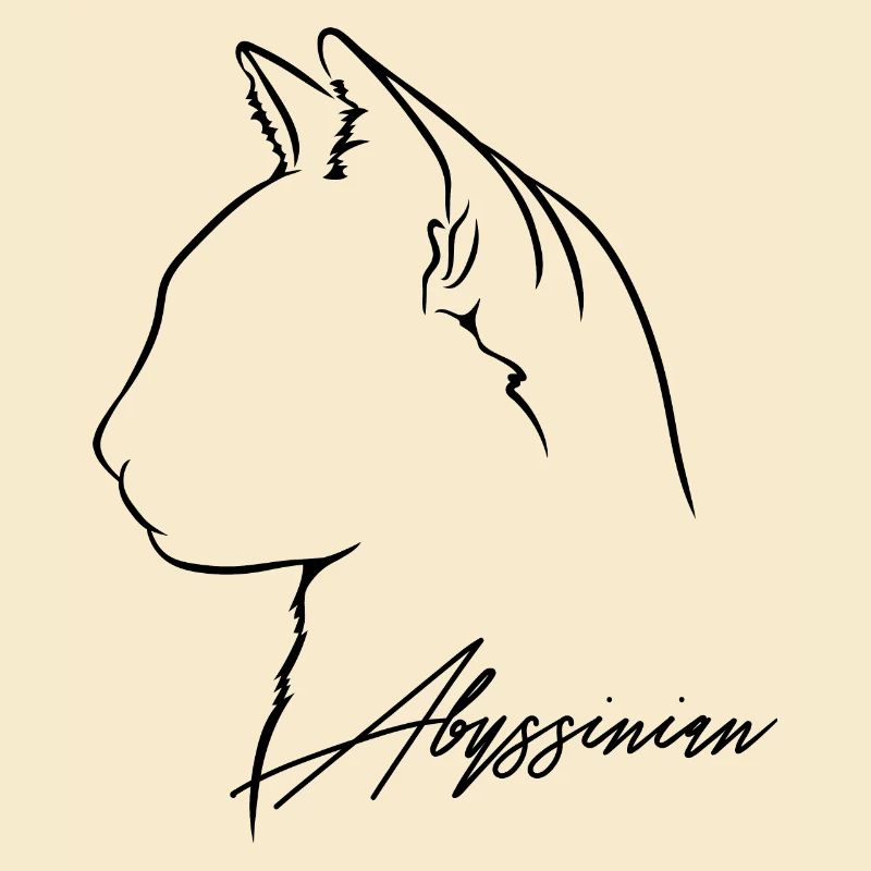 Abyssinian Profil Katzen Katze Wilsigns