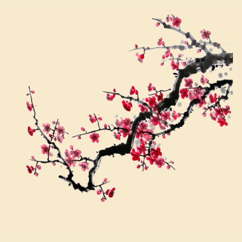 Japan Kirschbaum