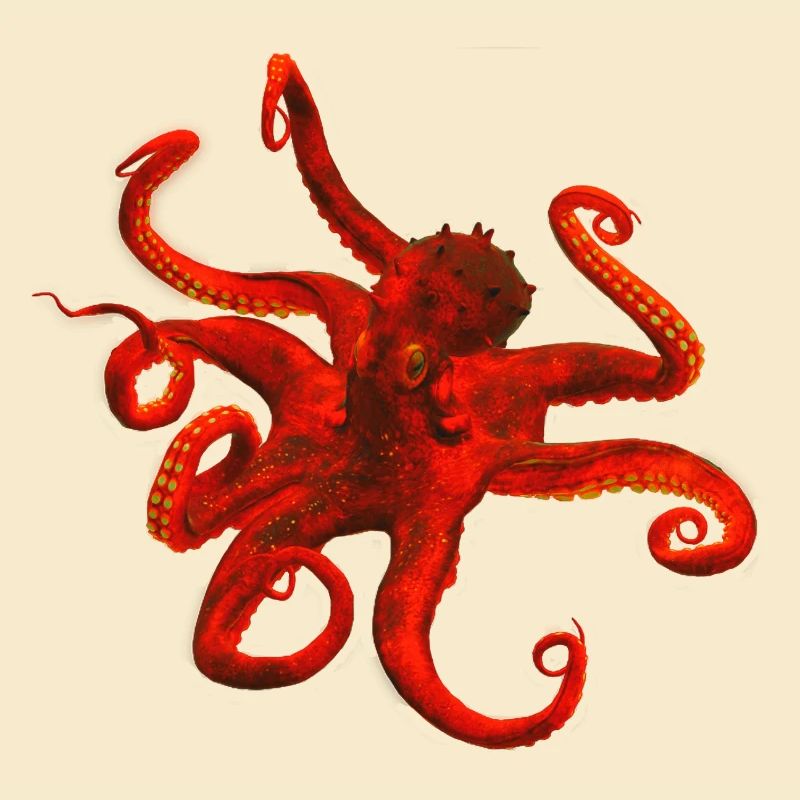 Krake
