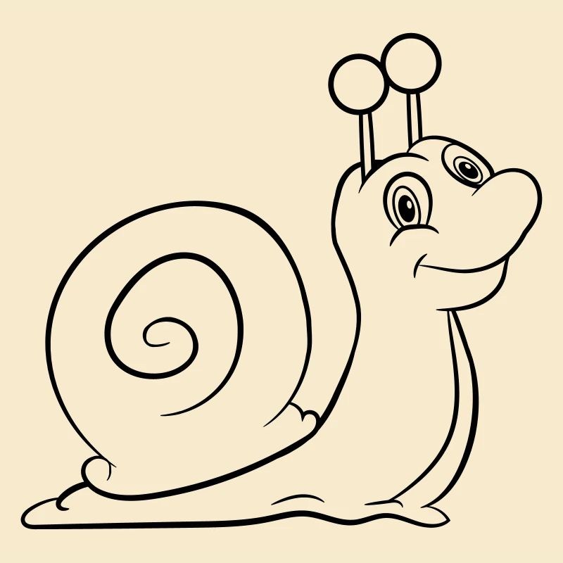 Snail Funny Kids