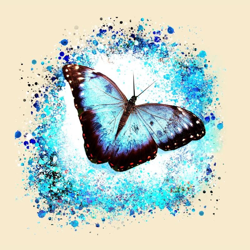 papillon ,bleu ,graffiti,turquoise,peinture