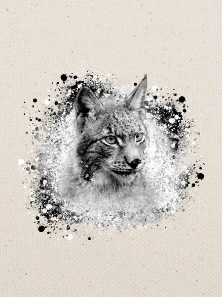 luchs,katze,blau,malerei,aquarell,grau
