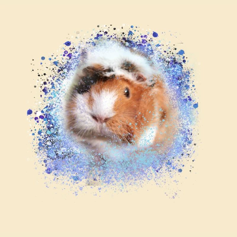 cochons d’Inde, graffitis, cochons d’Inde rosette