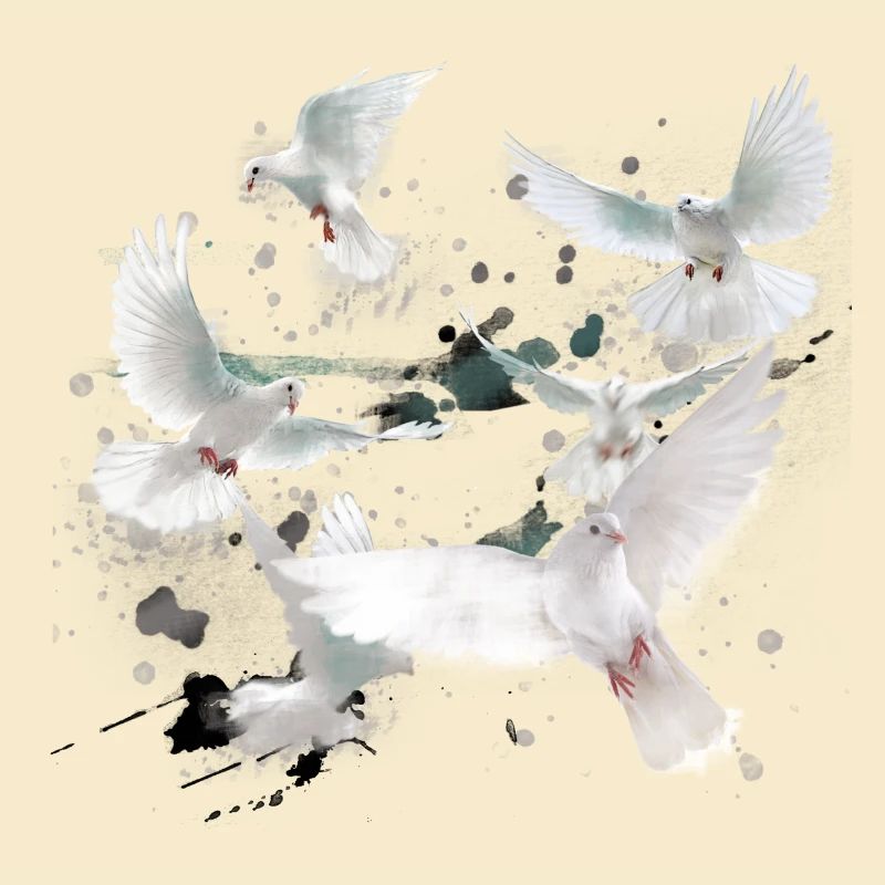 tauben,taube,vögel,vogelschwarm,weiss ,graffiti