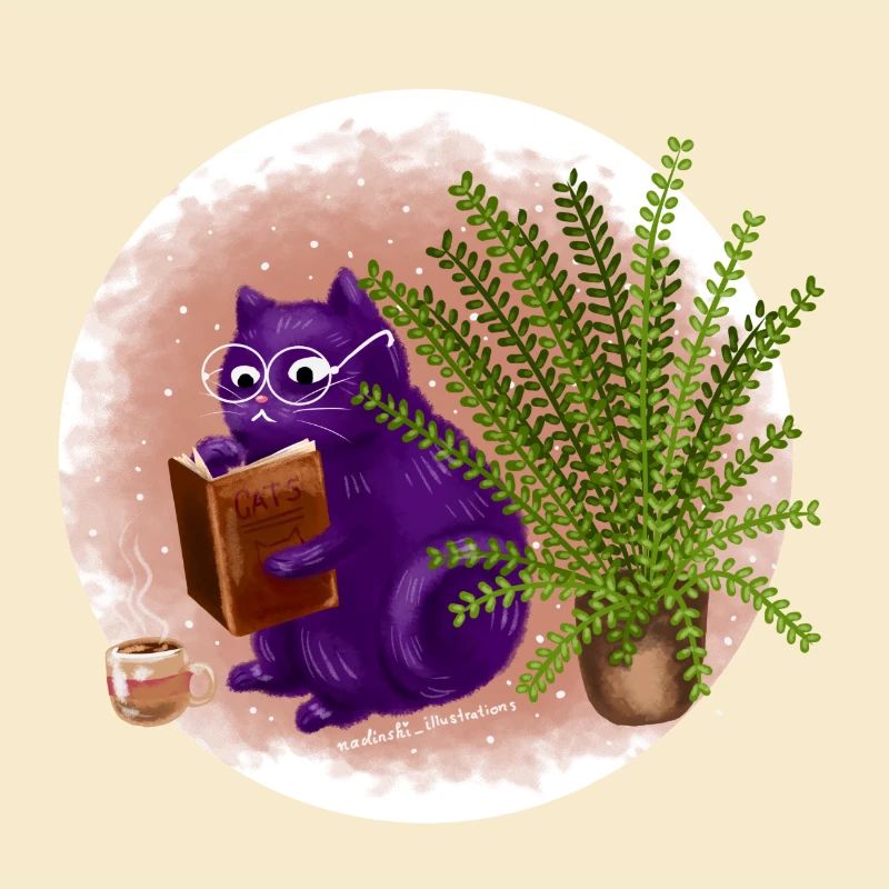 Bücher Katze