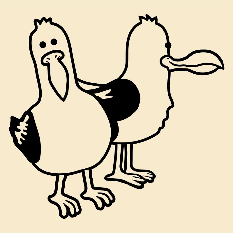 Team 2 funny seagulls