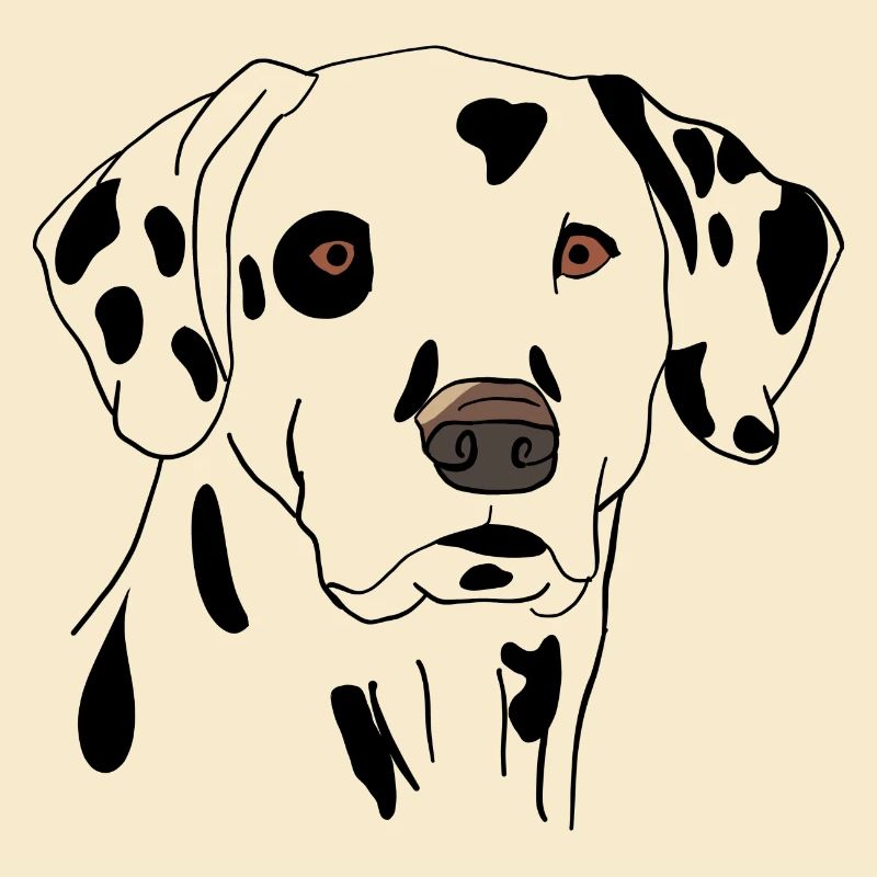 Dalmatiner