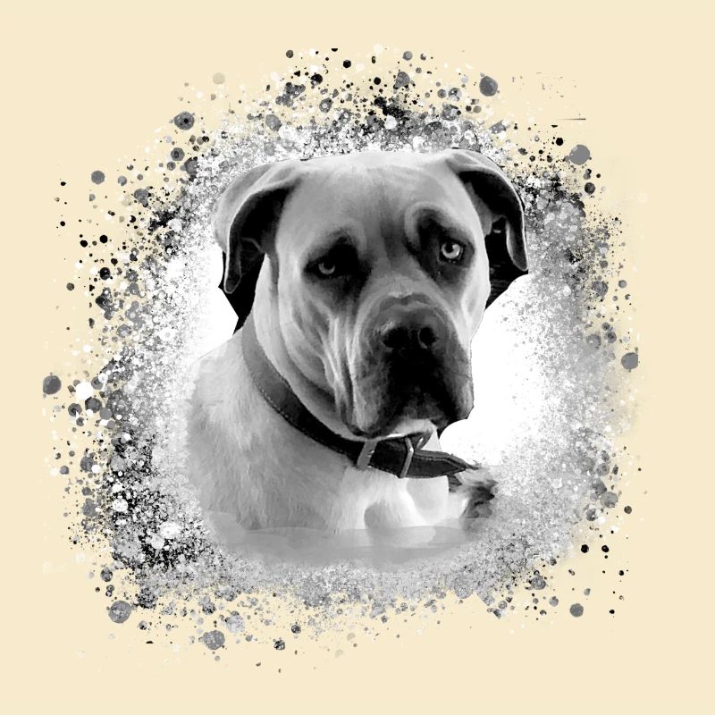 cane corso,hund,malerei,graffiti,bulldogge