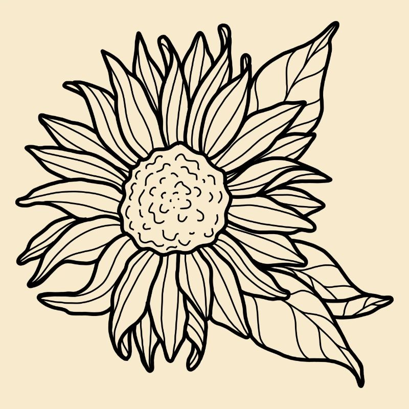 Blume Sonnenblume
