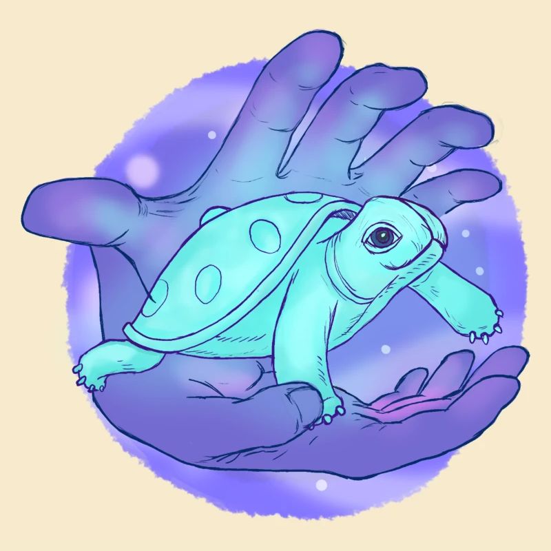 Cute Handpan Turtle