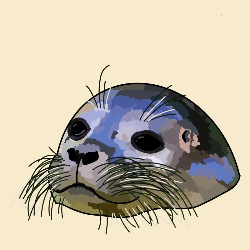 Robbe