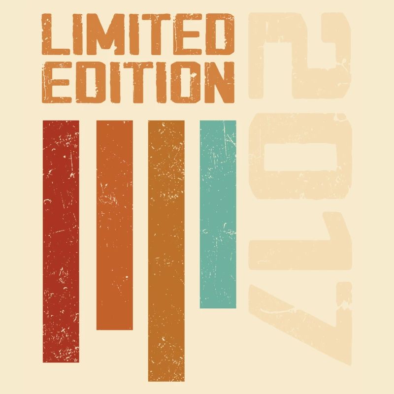 Vintage 2017 Retro 2017 Birthday Gift