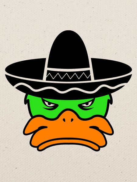 mexico duck 02
