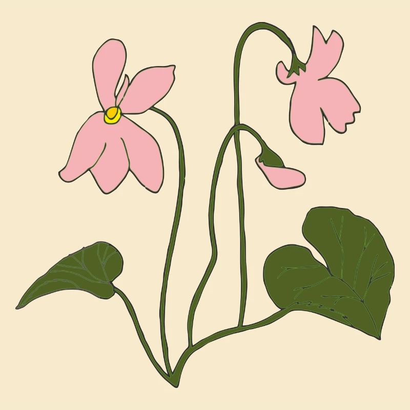 veilchen rosa