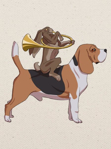 Jagd auf Hasenhorn