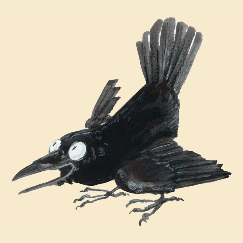 Rabenkrähe 2