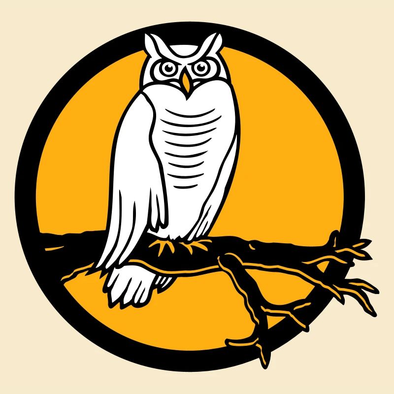 Owl Eagle Owl Branch Tree Forest Moon Night Full Moon Round