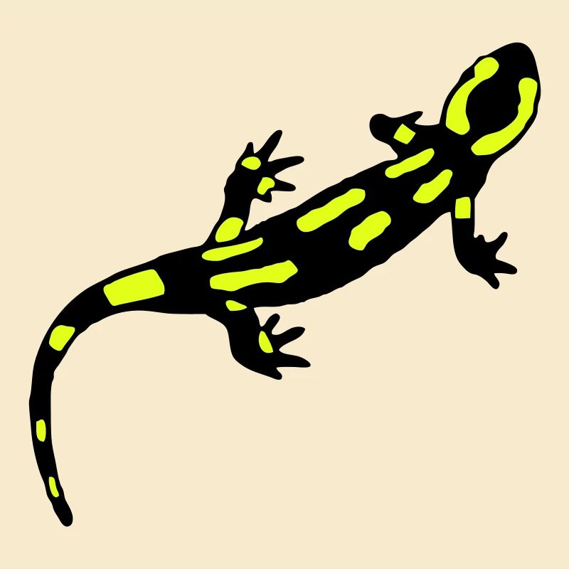 Feuersalamander (gebändert)