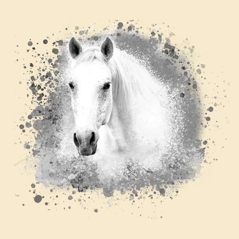 Schimmel, Pferd,weisses Pferd, Graffiti,haflinger