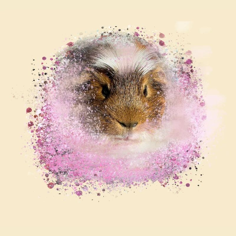 cochon d’Inde, graffiti, peinture, rose, rose