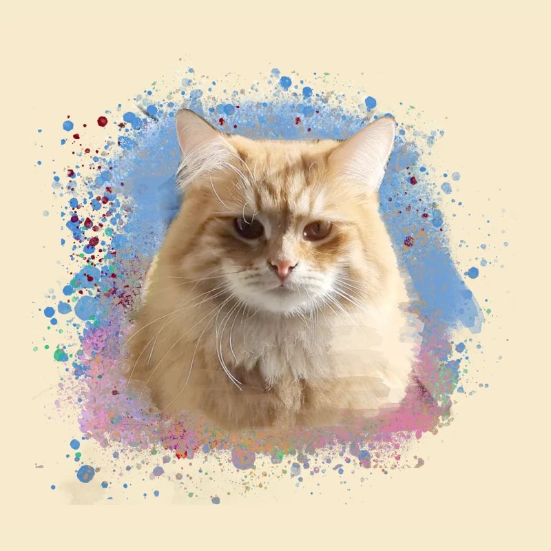 Chat sibérien, graffiti, peinture, chat