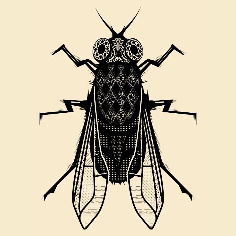 A housefly