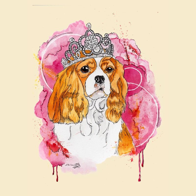 Cavalier KC Spaniel Bella
