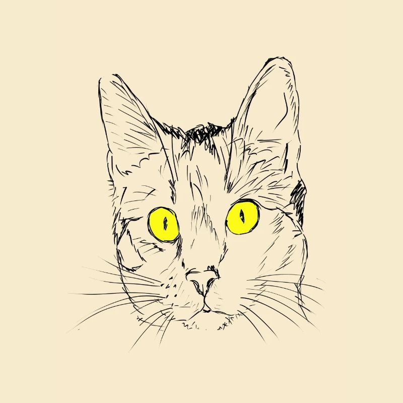 Chat, gueule de bois, amant de chat, tête de chat, oeil de chat