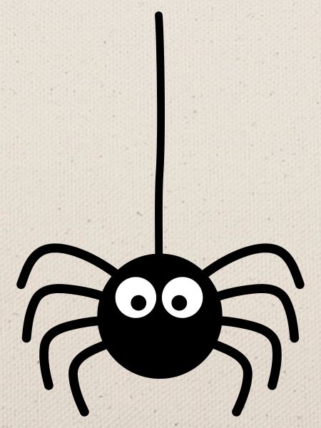 Spinne