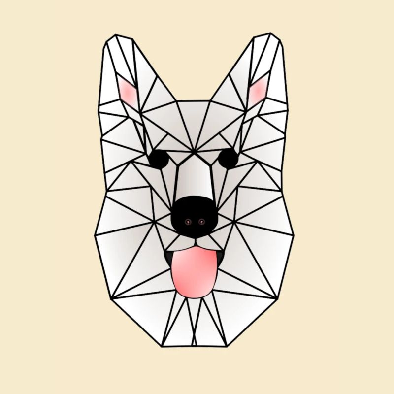 Wild White Wolf