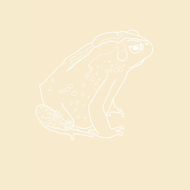 toad
