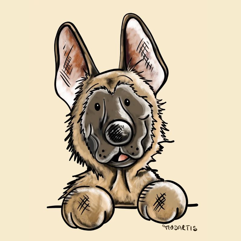 Neugieriger Malinois