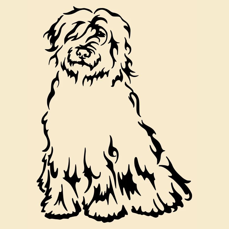 Chien de berger de Bergamasker
