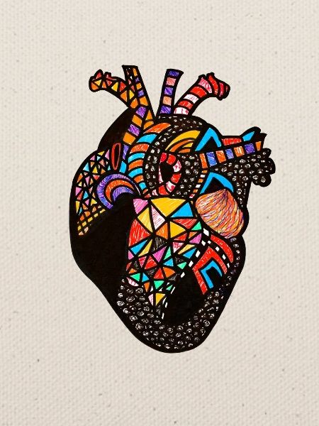 Anatomisches Herz