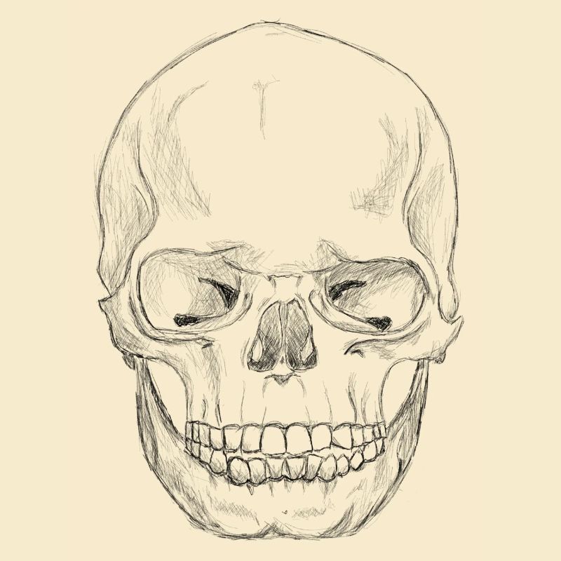 SkullSketchBlack