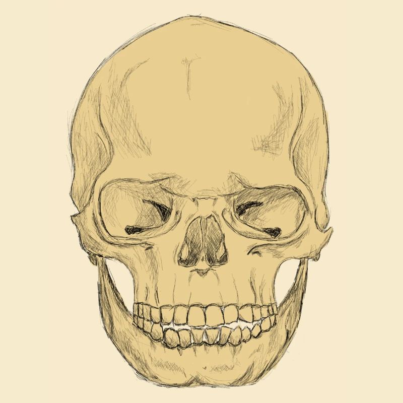 SkullPlain