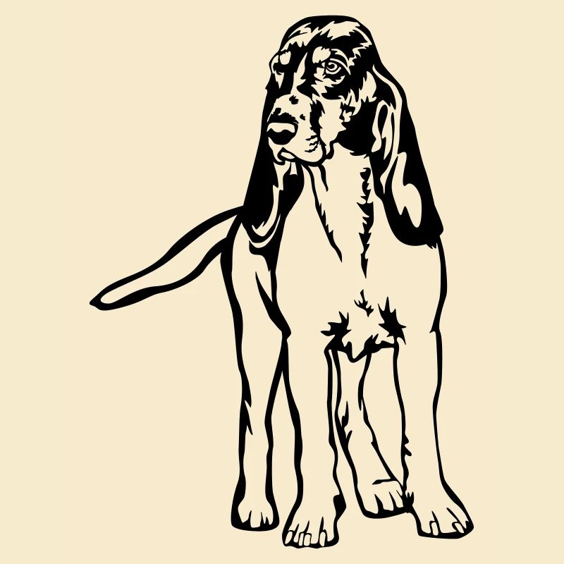 Bernese running dog
