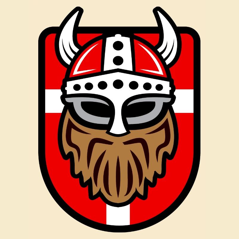 Viking cool avec drapeau danois