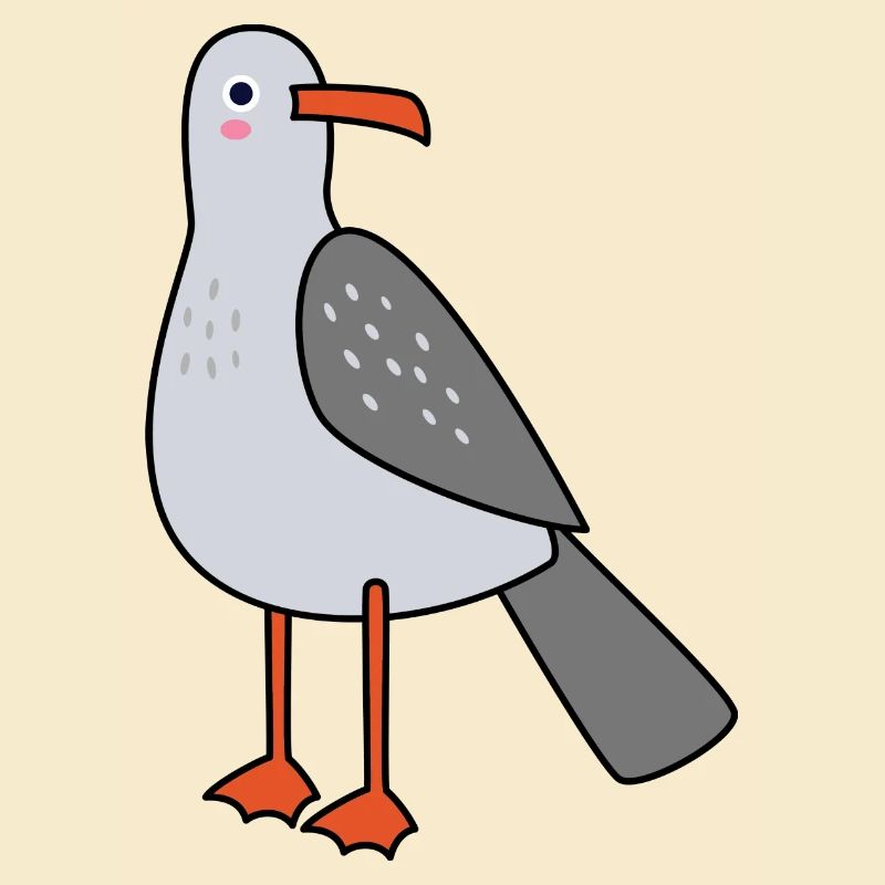 Möwe