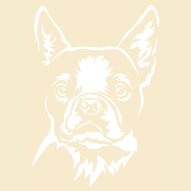 Boston Terrier Kopf "Black Edition"