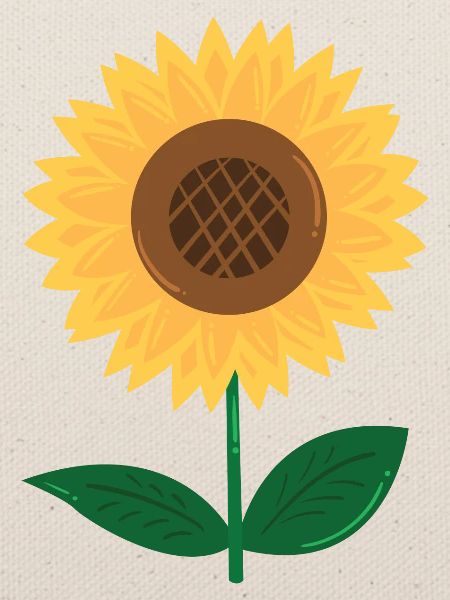 Sonnenblume