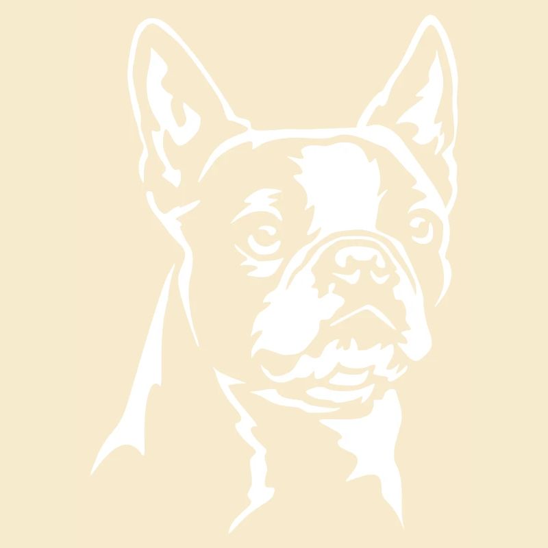 Boston Terrier Kopf "Black Edition"