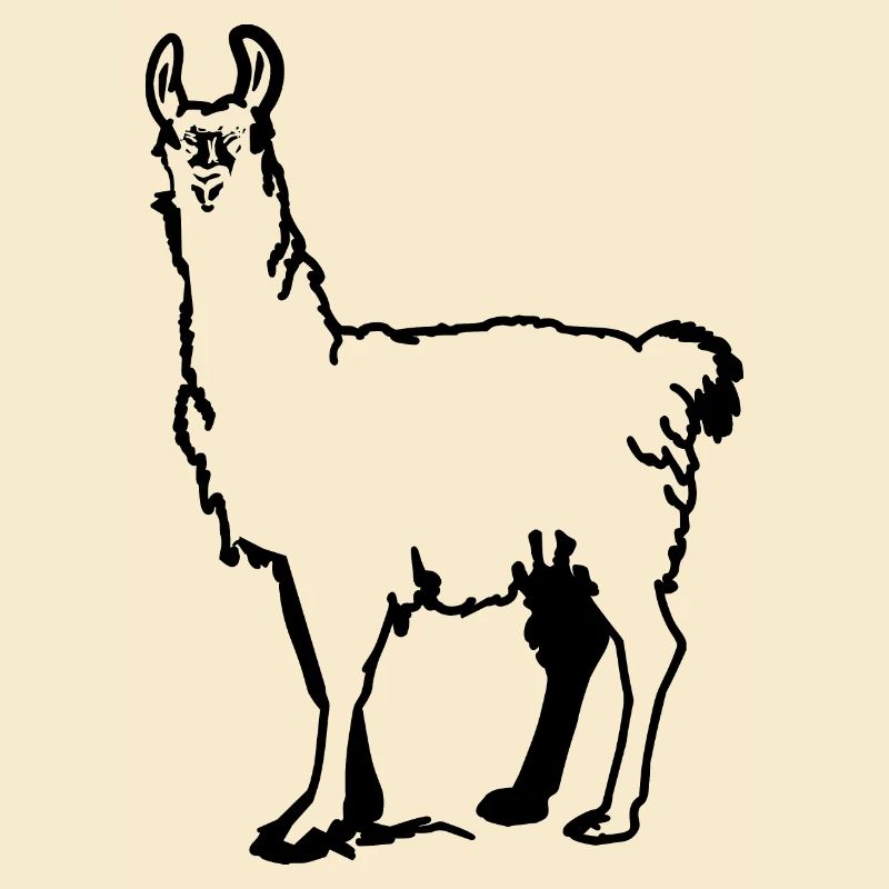 cute llama