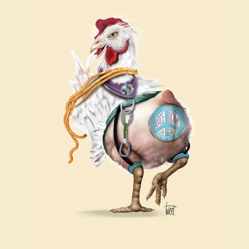 Crazy chicken