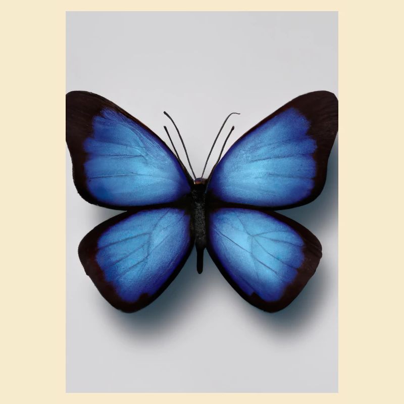 Blauer Schmetterling