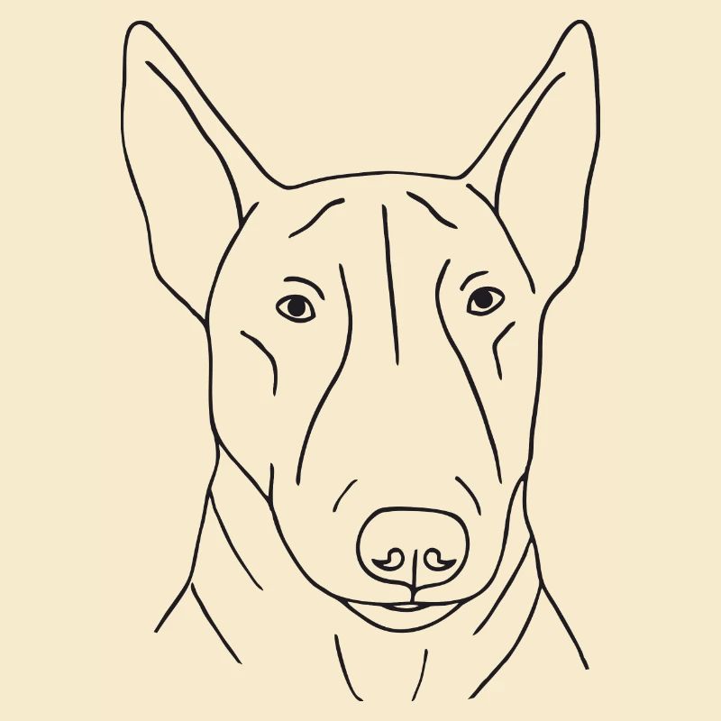 Bullterrier